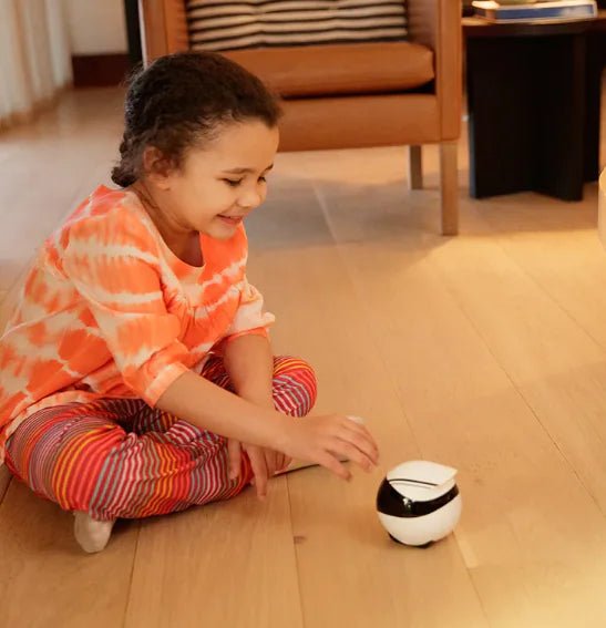 Smart Home companionfor couples(EBO SE/AIR) - Kilohuas