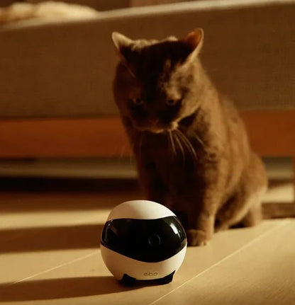 Smart Home companionfor couples(EBO SE/AIR) - Kilohuas